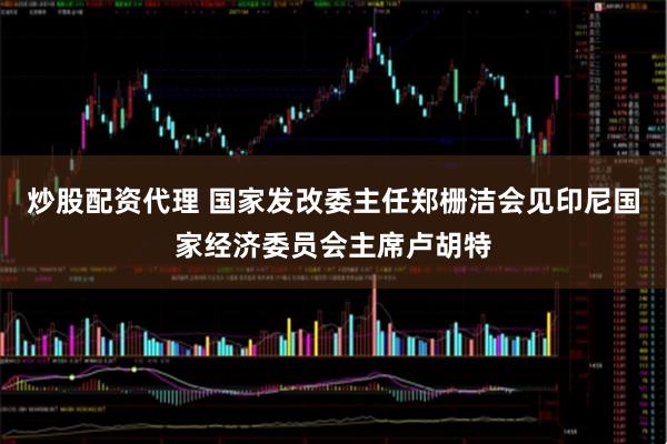 炒股配资代理 国家发改委主任郑栅洁会见印尼国家经济委员会主席卢胡特