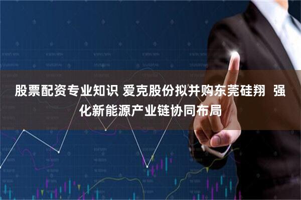 股票配资专业知识 爱克股份拟并购东莞硅翔  强化新能源产业链协同布局
